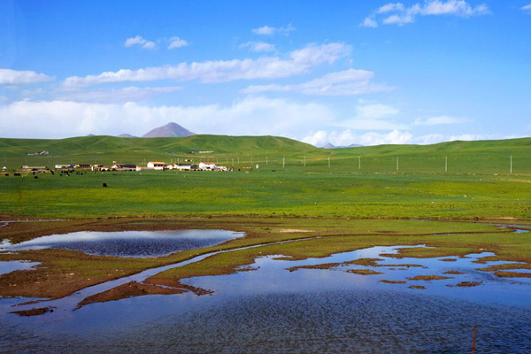  Jinyintan Prairie 