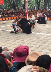 Traveler photo: Watching traditional Tibetan opera performance at Norbulingka during Shoton Festival. (August 2020)