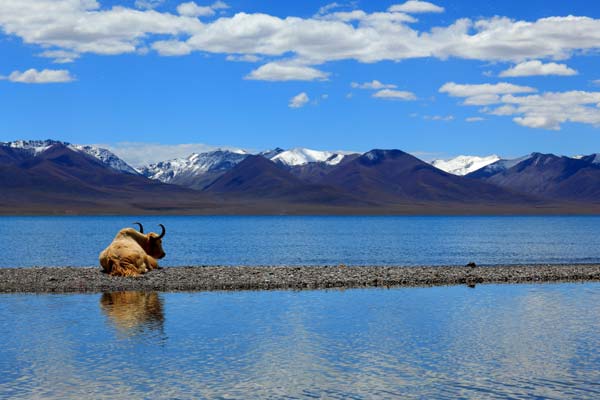 Namtso Lake