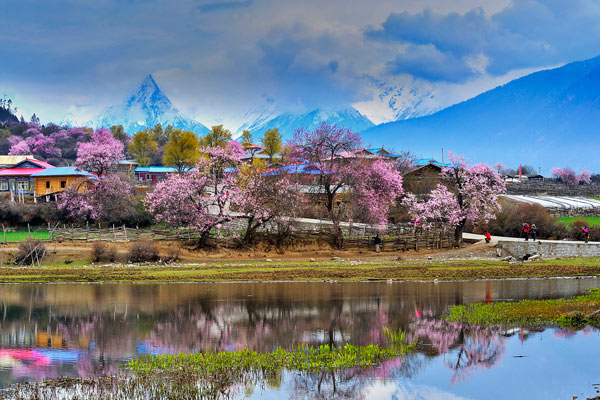 Tibet Nyingchi Prefecture in Spring