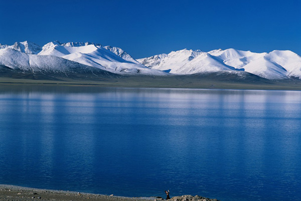 Qinghai Lake in Winter
