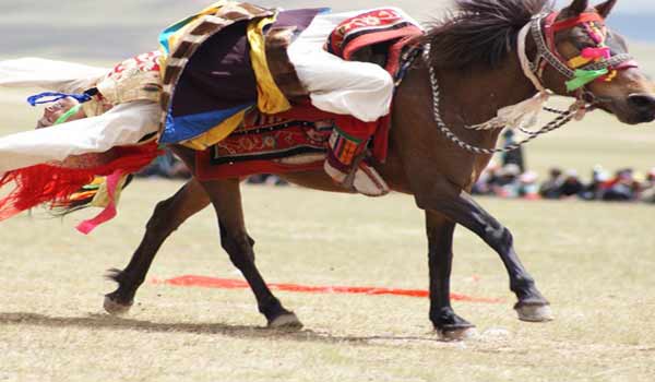 Nagchu horse racing festival is the grandest horse riding competition in northern Tibet