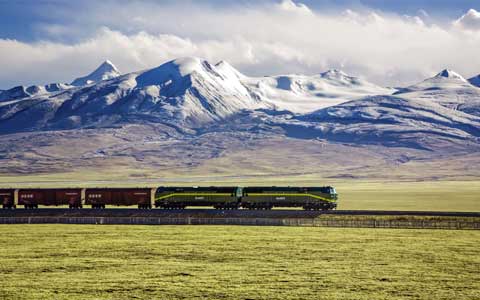 Qinghai-Tibet Railway Sees Rise in Transport