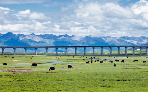13 Days Chengdu, Lhasa, Xian and Beijing Tour with Tibet Train Experience