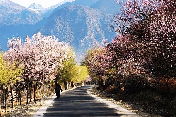 Nyingchi road Nyingchi road