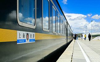  Platform scenery of Tibet train 
