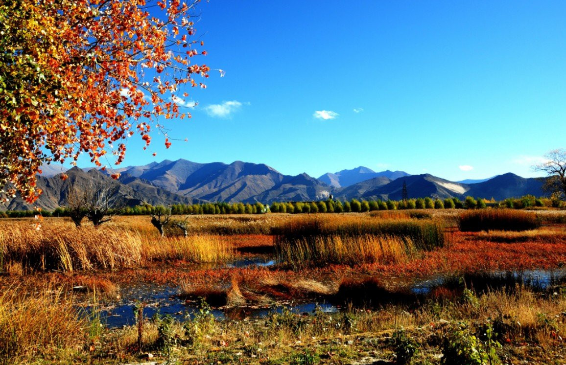 Two Wetlands in Tibet Applies for National Natural Reserves