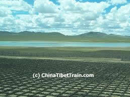 qingzang railway