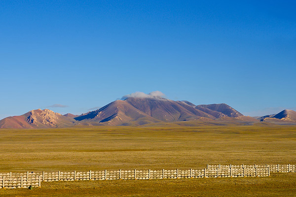  Qinghai-tibet Plateau 