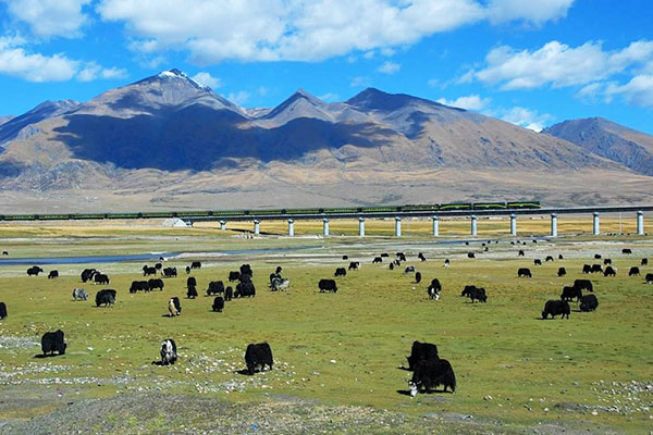 Beautiful scenery along the Qinghai-Tibet Railway