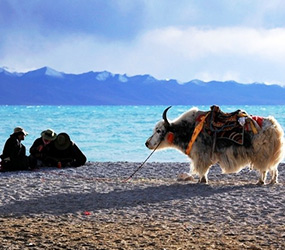 Namtso Lake Tour