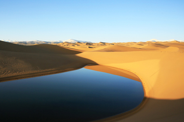 Gobi Desert Gobi Desert