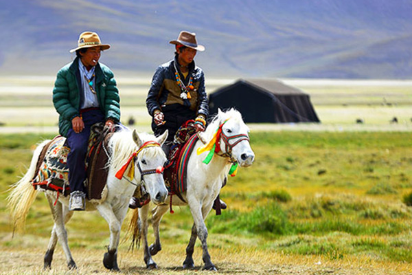 Nagqu Grassland