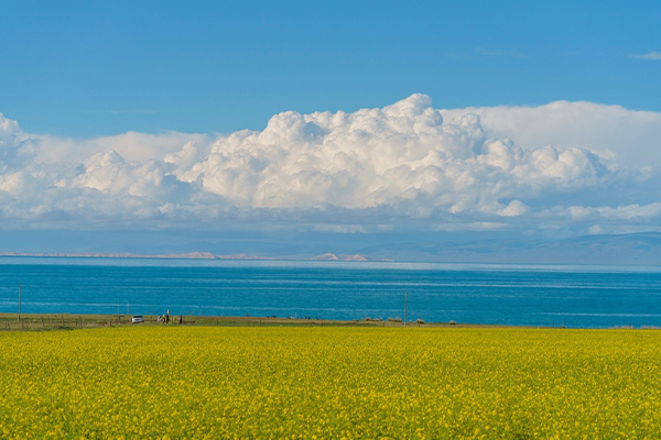 Qinghai Lake in Spring