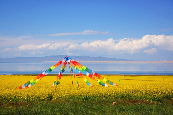 Qinghai Lake
