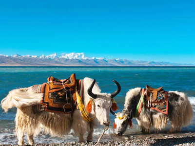 10 Days Xi’an to Lhasa and Heavenly Namtso Tour by Train
