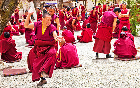 6 Days Lhasa Three Major Monasteries Small Group Tour with Tibet Train Experience