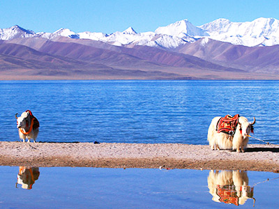 6 Days Lhasa Small Group Tour with Holy Lake Namtso