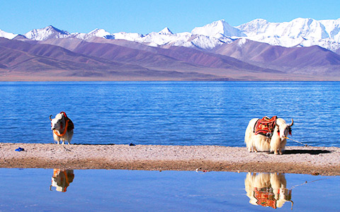 6 Days Lhasa Small Group Tour with Holy Lake Namtso