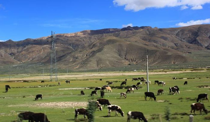 Scenery along the way to Shigatse