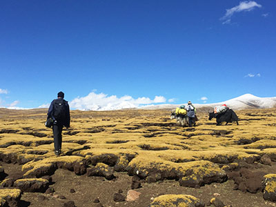 9 Days Tibet Trekking Tour from Tsurphu to Yangpachen