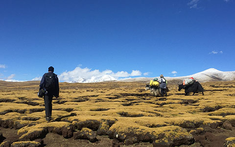 9 Days Tibet Trekking Tour from Tsurphu to Yangpachen