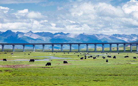 13 Days Chengdu, Lhasa, Xian and Beijing Tour with Tibet Train Experience