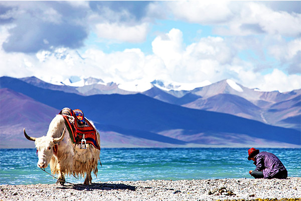 Namtso Lake
