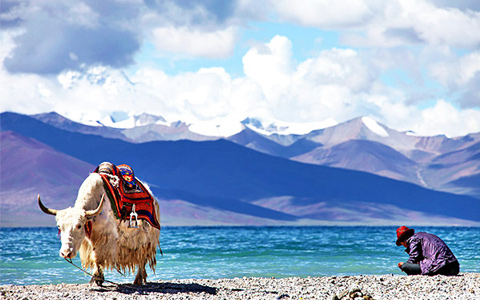 Why You Should Travel to Tibet Once in Your Lifetime