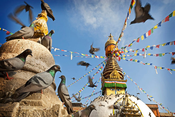 Nepal Nepal"