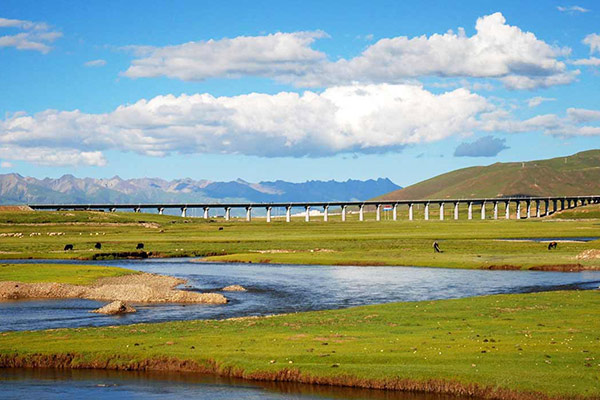  Tibet train 