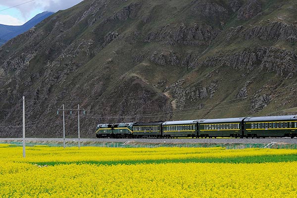 Tibet train 