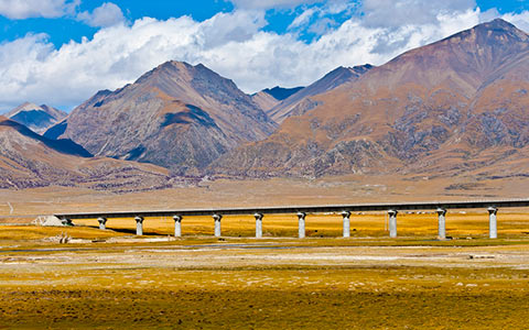 Emergency Report: Tibet Train Ticket is Nearly Sold Out! Be Quick if You Need One