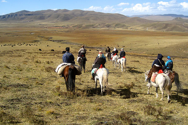  Horseback rides 