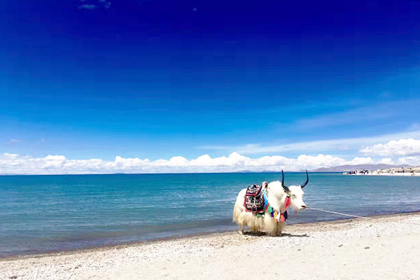   Lake Namtso 