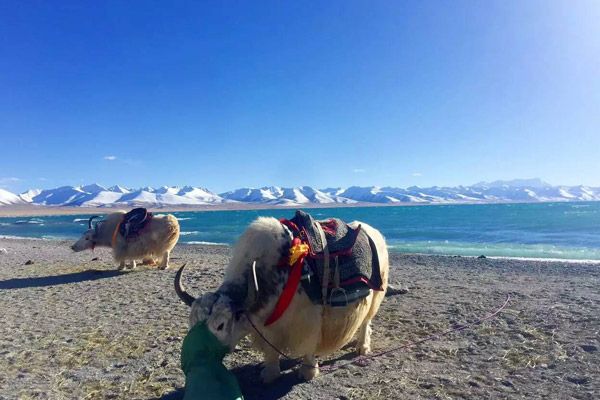 Lake Namtso in Summer