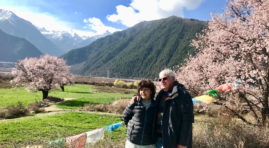 Peach blossoms in Nyingchi