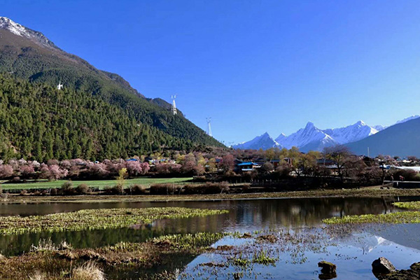  Nyingchi 
