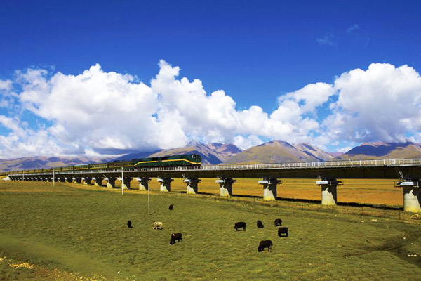 Tibet Train