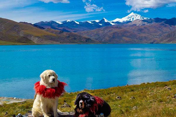 Tibet Yamdrok Lake Tibet Yamdrok Lake