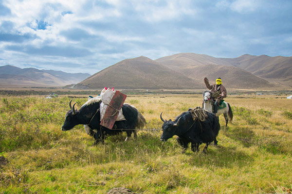 Tibetans's Ability to Survive in Hostile Environment