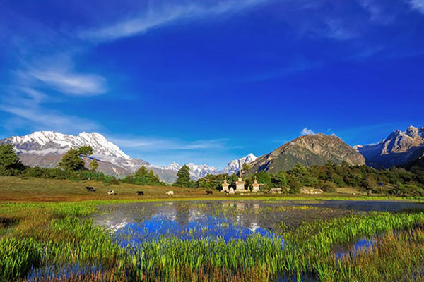 Open Meadows in Kyirong Valley