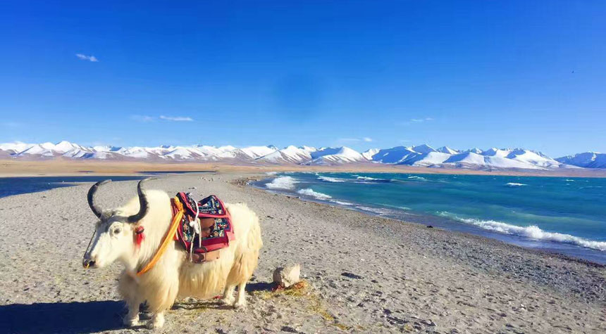 Namtso Lake in Tibet