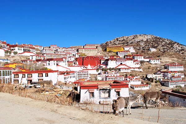 Ganden Monastery 