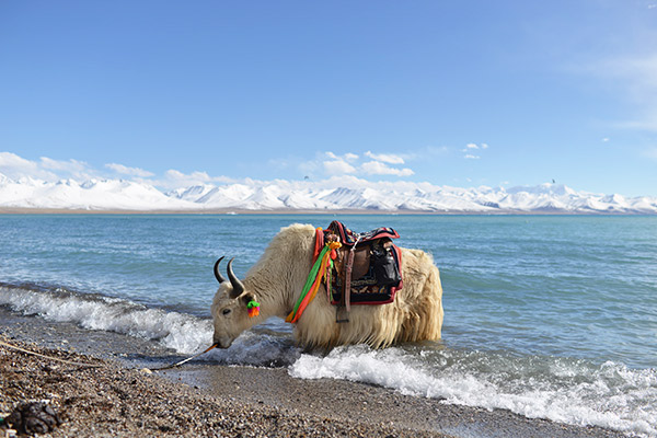 Lake Namtso