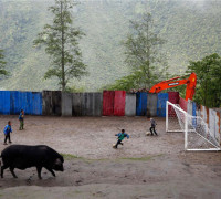 Children play football at school while a hog looks for food at Bangxin Village School in Medog county,Tibet. Although the playground is surrounded by a sheet-metal fence, it is not unusual for children to kick their football off the steep cliff